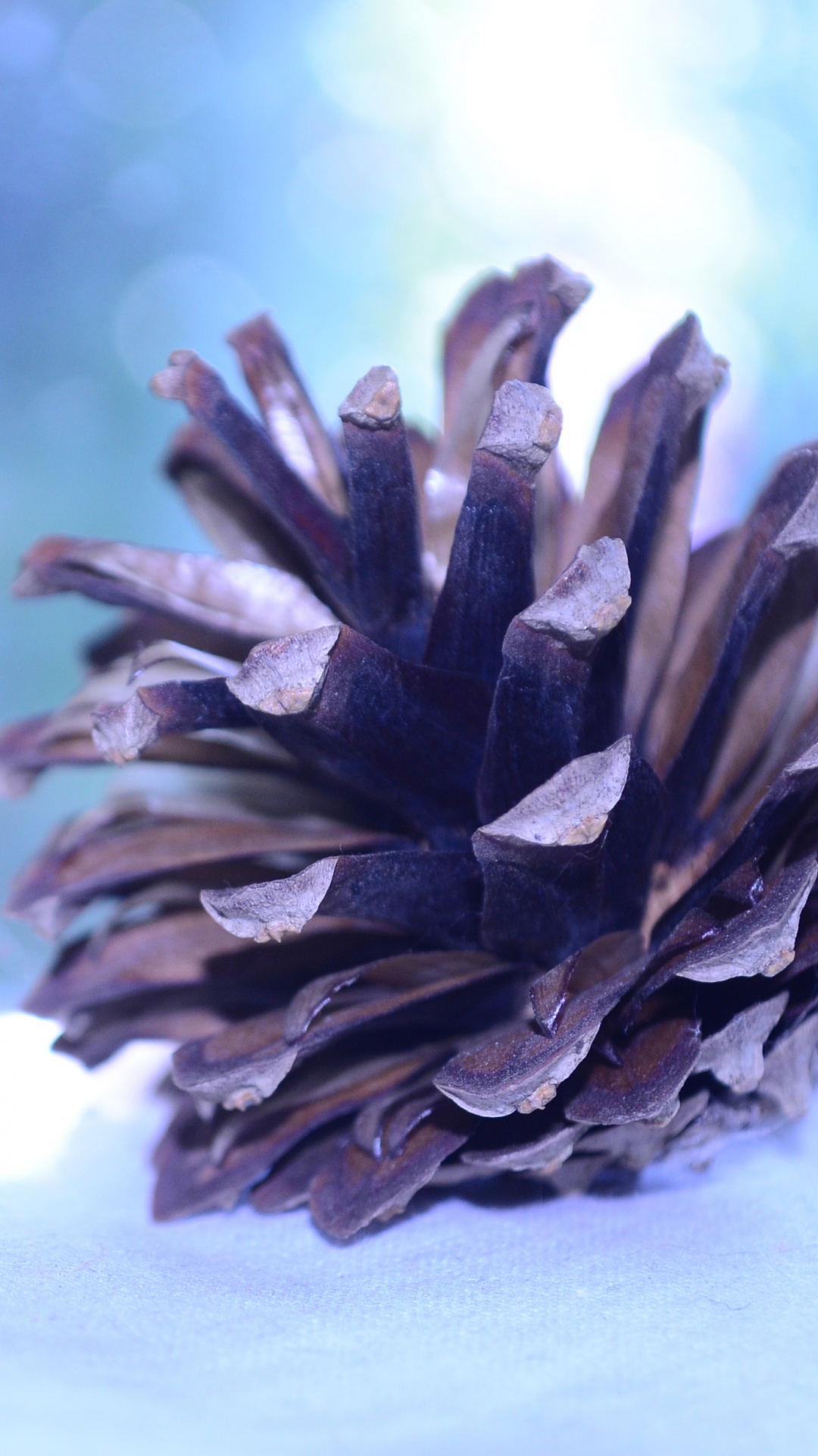 Gray Pine Cone on White Textile. Wallpaper in 1080x1920 Resolution