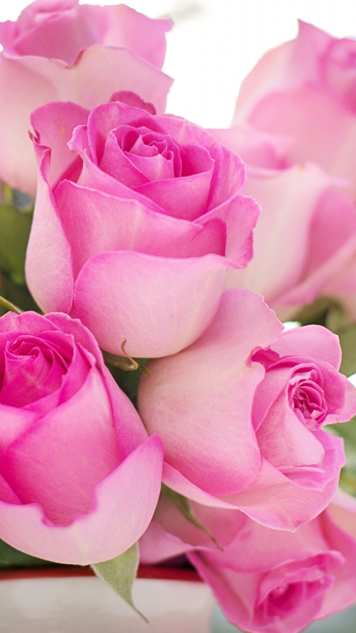 Ramo de Flores, Rosa, Floristry, Ramo de Rosas, Pétalo. Wallpaper in 720x1280 Resolution