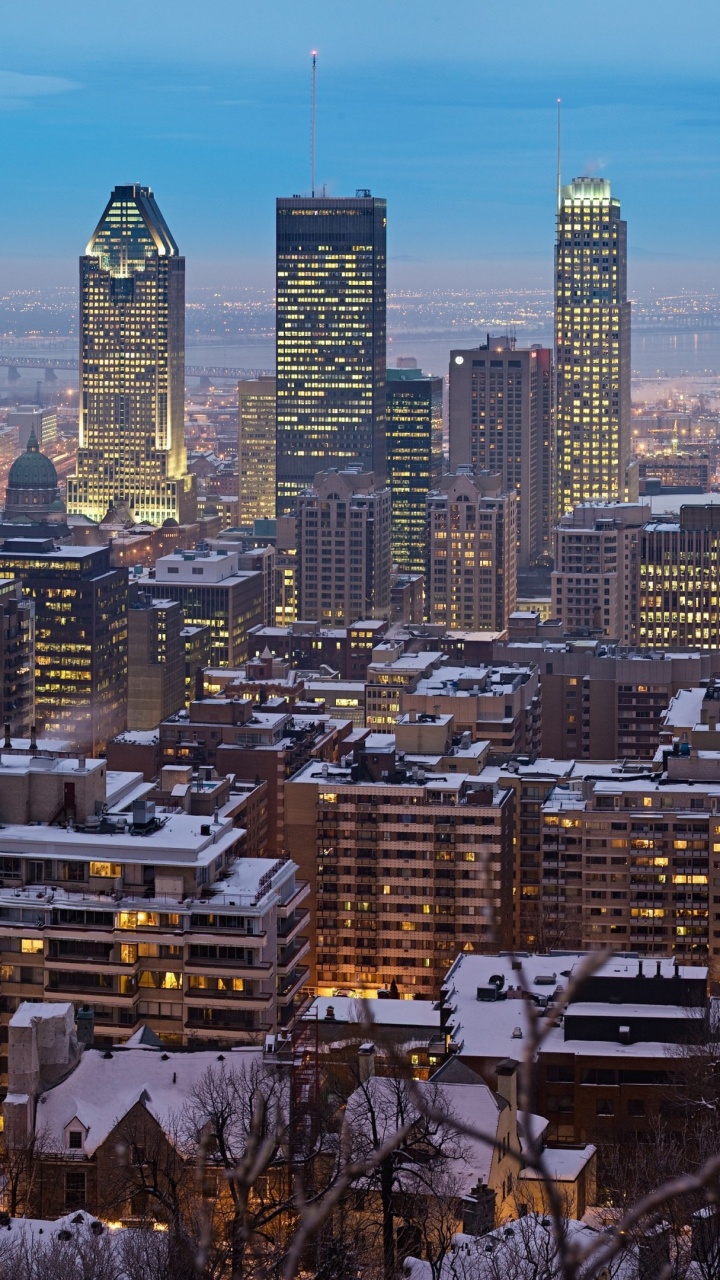Vue Aérienne Des Bâtiments de la Ville Pendant la Journée. Wallpaper in 720x1280 Resolution