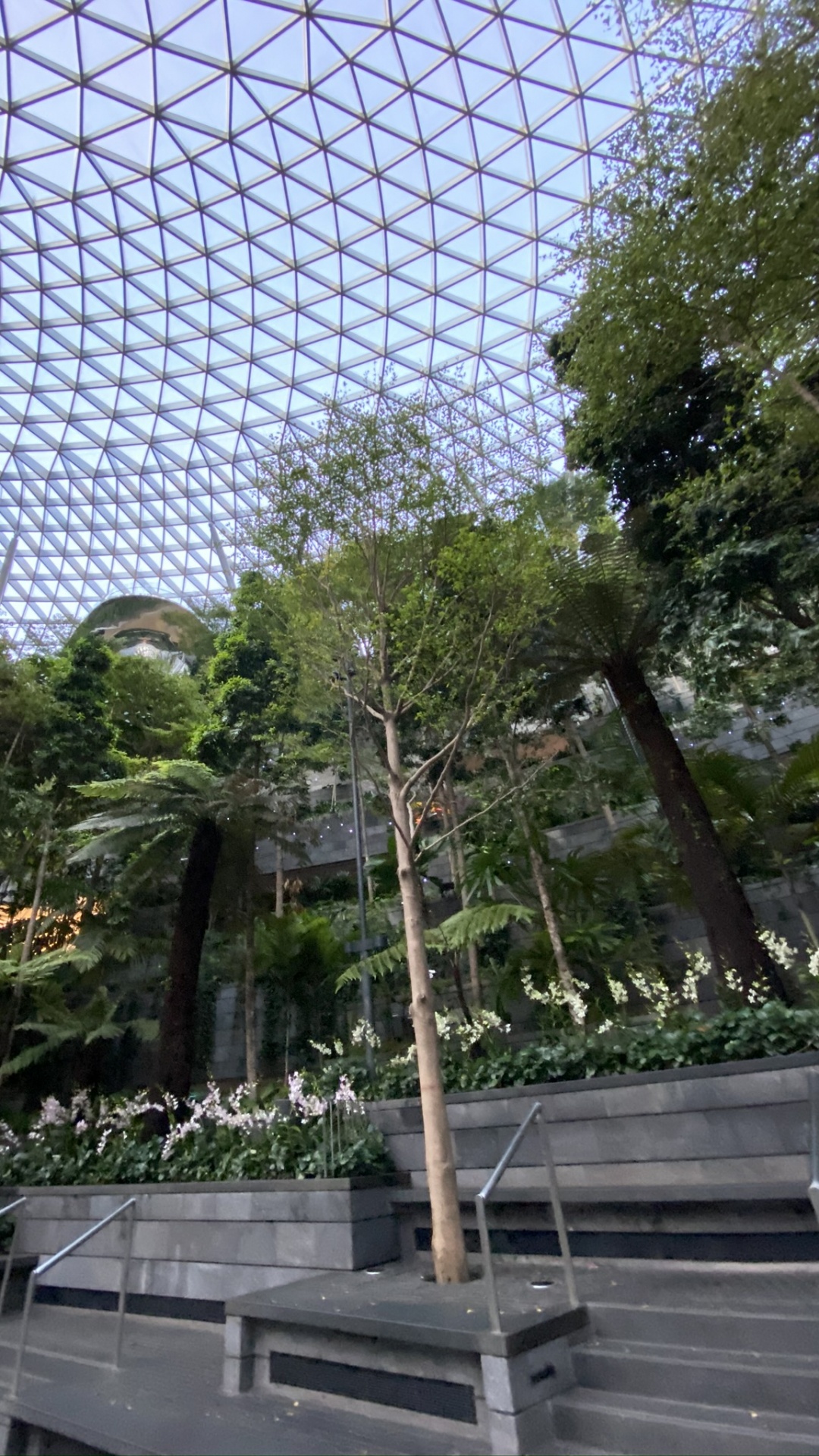 China Pavilion at Expo 2010, Wire Fencing, Mesh, Chain Link Fencing, Garden. Wallpaper in 1080x1920 Resolution