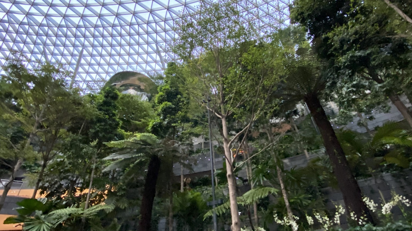 China Pavilion at Expo 2010, Wire Fencing, Mesh, Chain Link Fencing, Garden. Wallpaper in 1366x768 Resolution