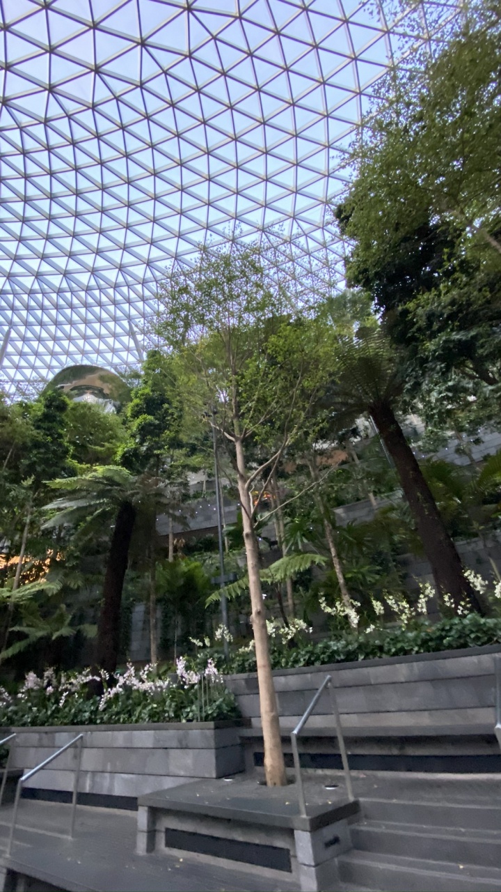 China Pavilion at Expo 2010, Wire Fencing, Mesh, Chain Link Fencing, Garden. Wallpaper in 720x1280 Resolution