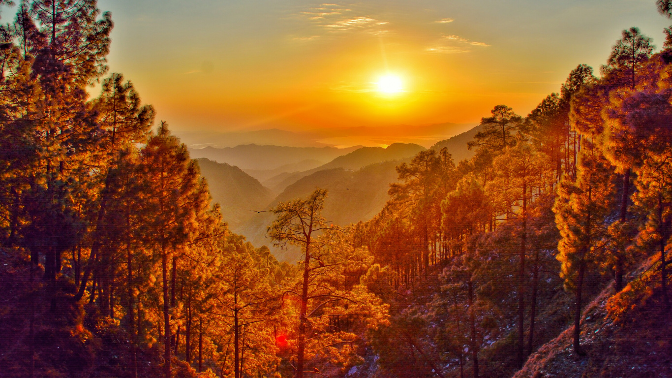 Green and Brown Trees on Mountain During Daytime. Wallpaper in 1366x768 Resolution