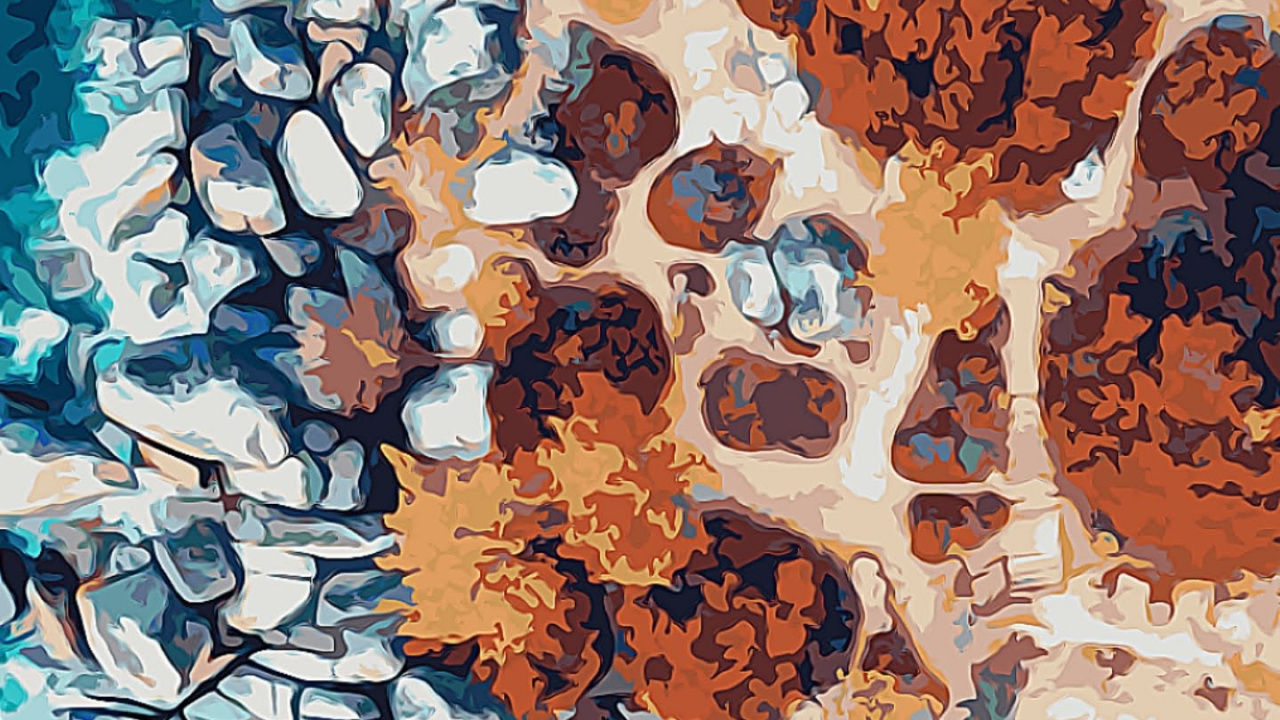 谷歌, Google Pixel 4, 像素4, 色彩, 水上 壁纸 1280x720 允许