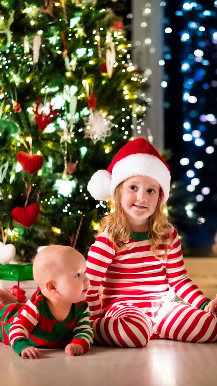 Christmas Tree, Christmas Day, Christmas Decoration, Christmas, Christmas Ornament. Wallpaper in 720x1280 Resolution