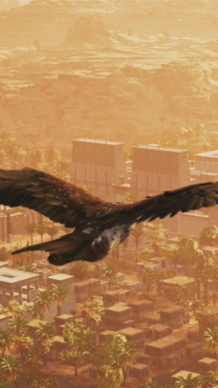 Assassins Creed Origines, Assassins Creed, Oiseau, Oiseau de Proie, Aigle. Wallpaper in 720x1280 Resolution