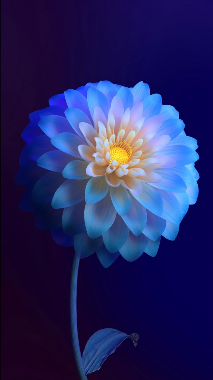 Flower, Alive, Vivo, Vivo Flower, Vivo Y11. Wallpaper in 720x1280 Resolution