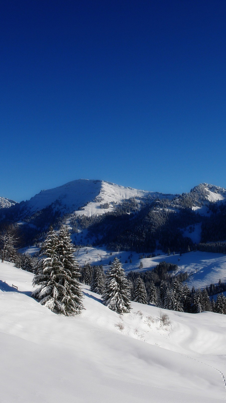 Schneebedeckter Berg Unter Blauem Himmel Tagsüber. Wallpaper in 750x1334 Resolution