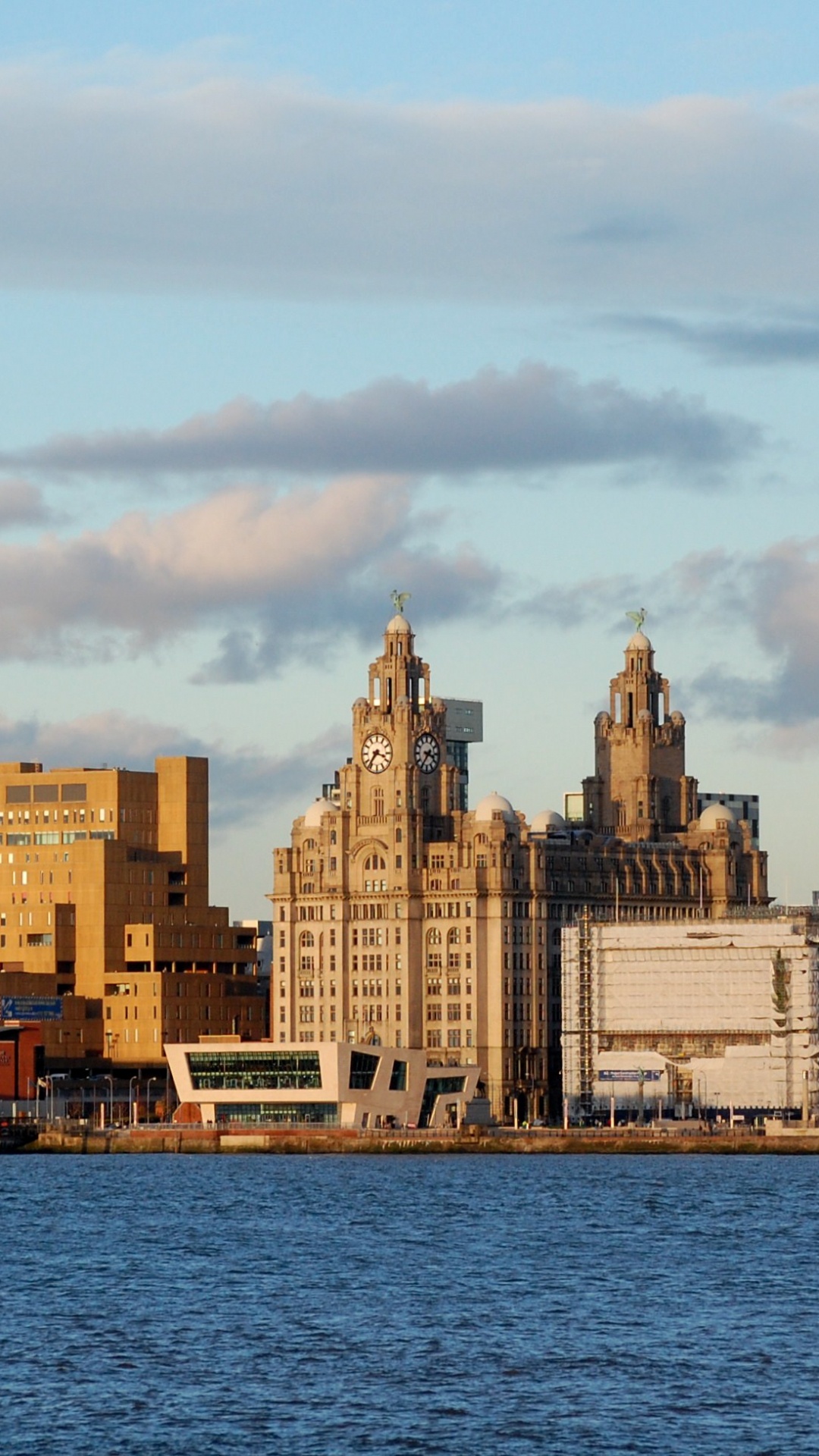 Horizonte de la Ciudad a Través Del Cuerpo de Agua Durante el Día.. Wallpaper in 1080x1920 Resolution