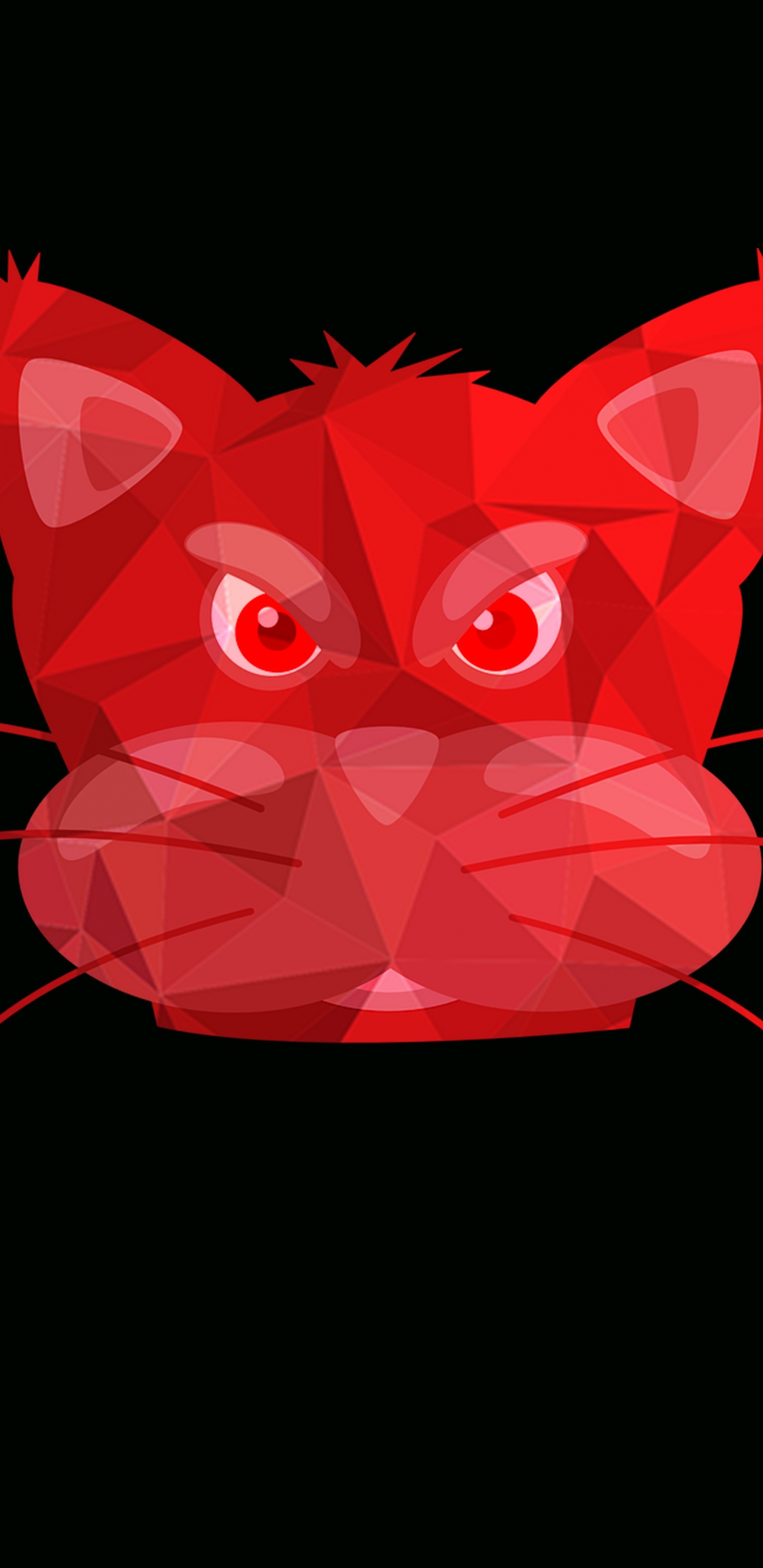 Dragon Rouge Sur Fond Noir. Wallpaper in 1440x2960 Resolution