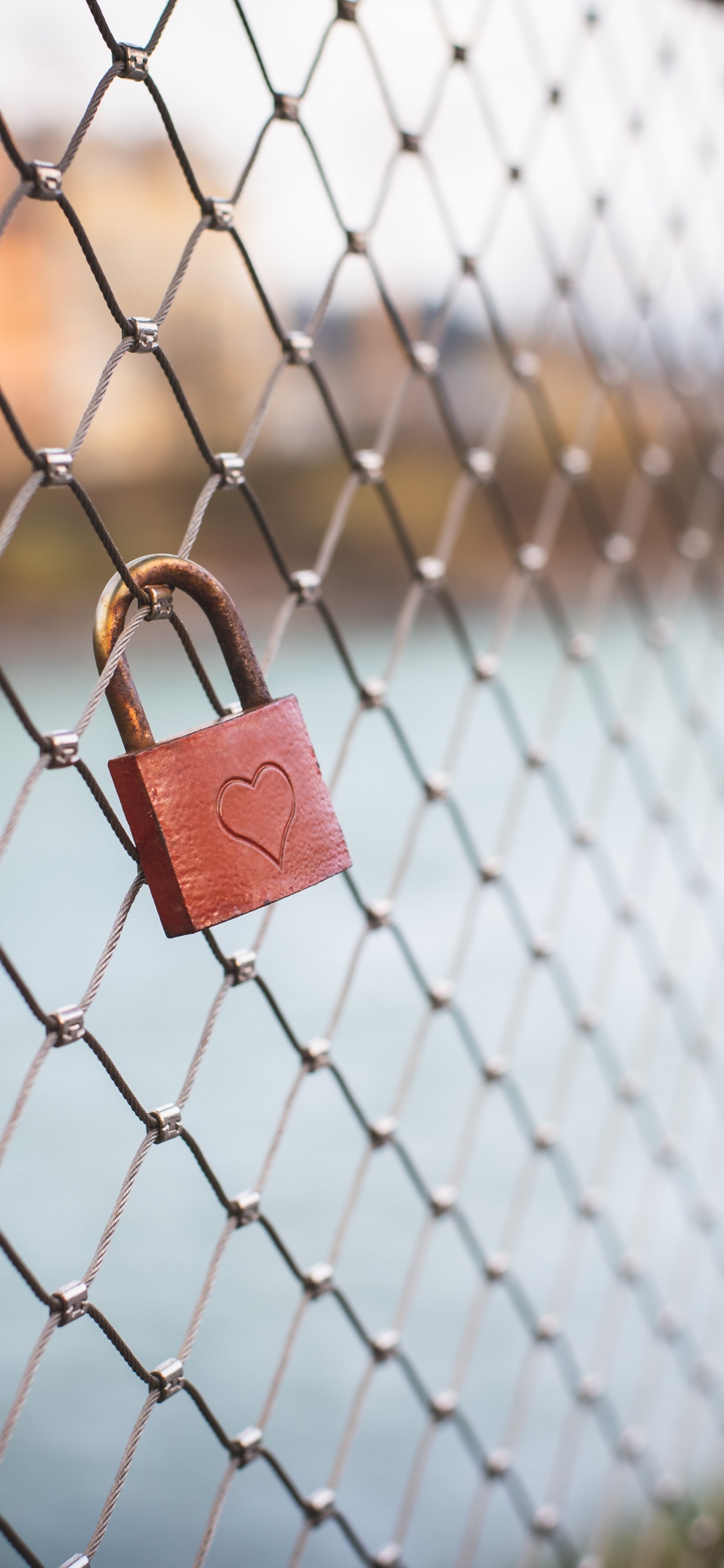 Padlock on Chain Link Fence. Wallpaper in 1242x2688 Resolution