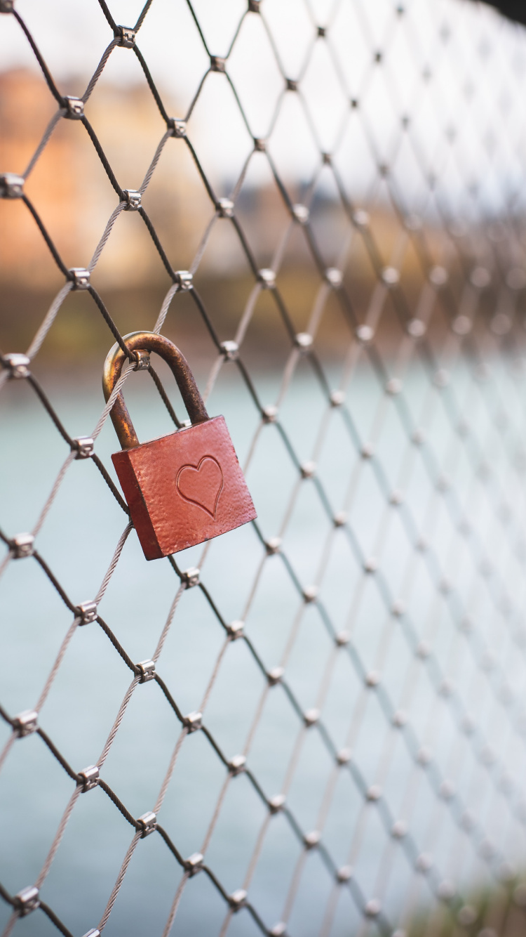 Padlock on Chain Link Fence. Wallpaper in 750x1334 Resolution
