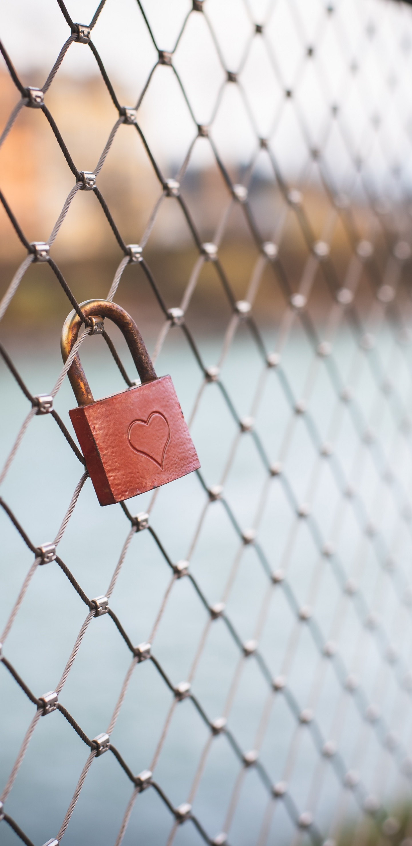 Vorhängeschloss am Maschendrahtzaun. Wallpaper in 1440x2960 Resolution