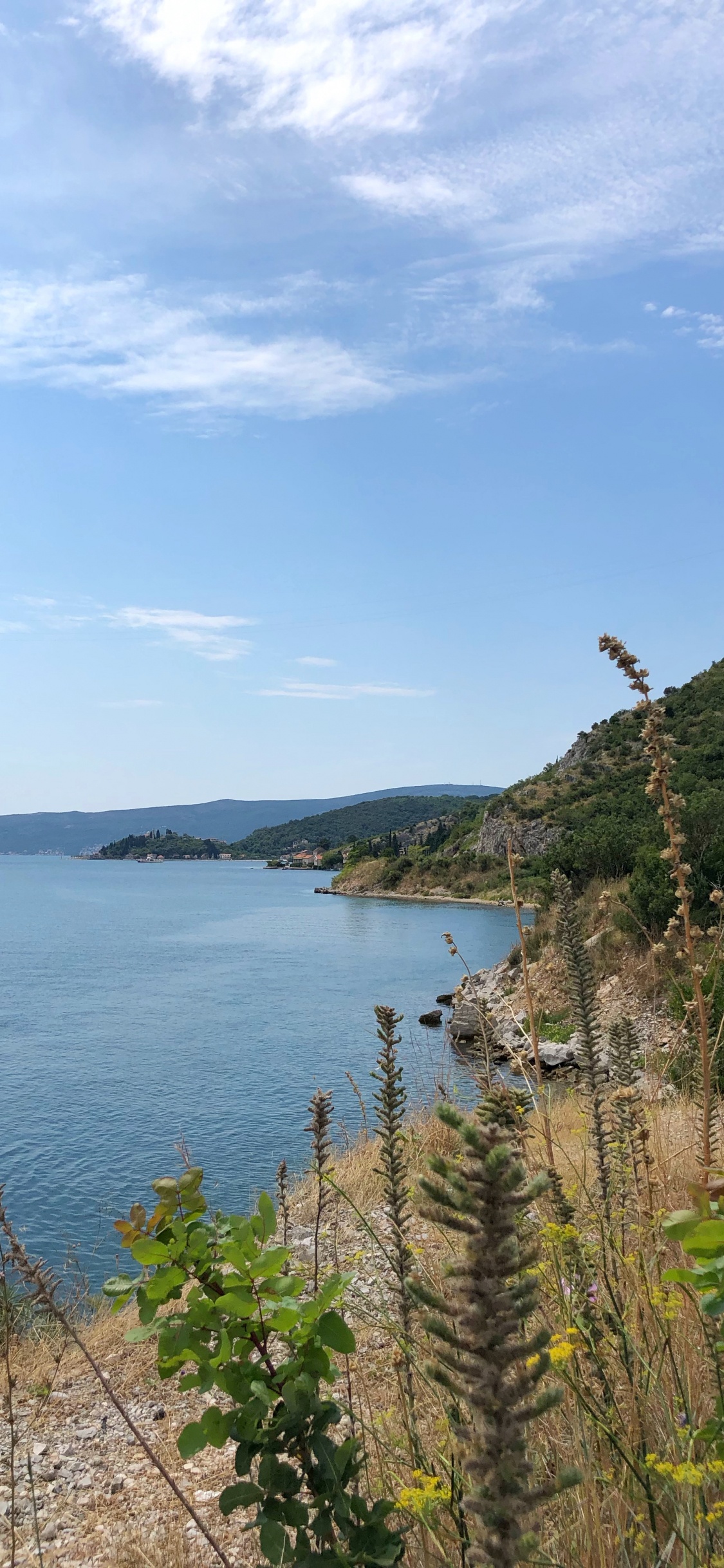 Côte, Eau, Voie Navigable, Banque, Loch. Wallpaper in 1125x2436 Resolution