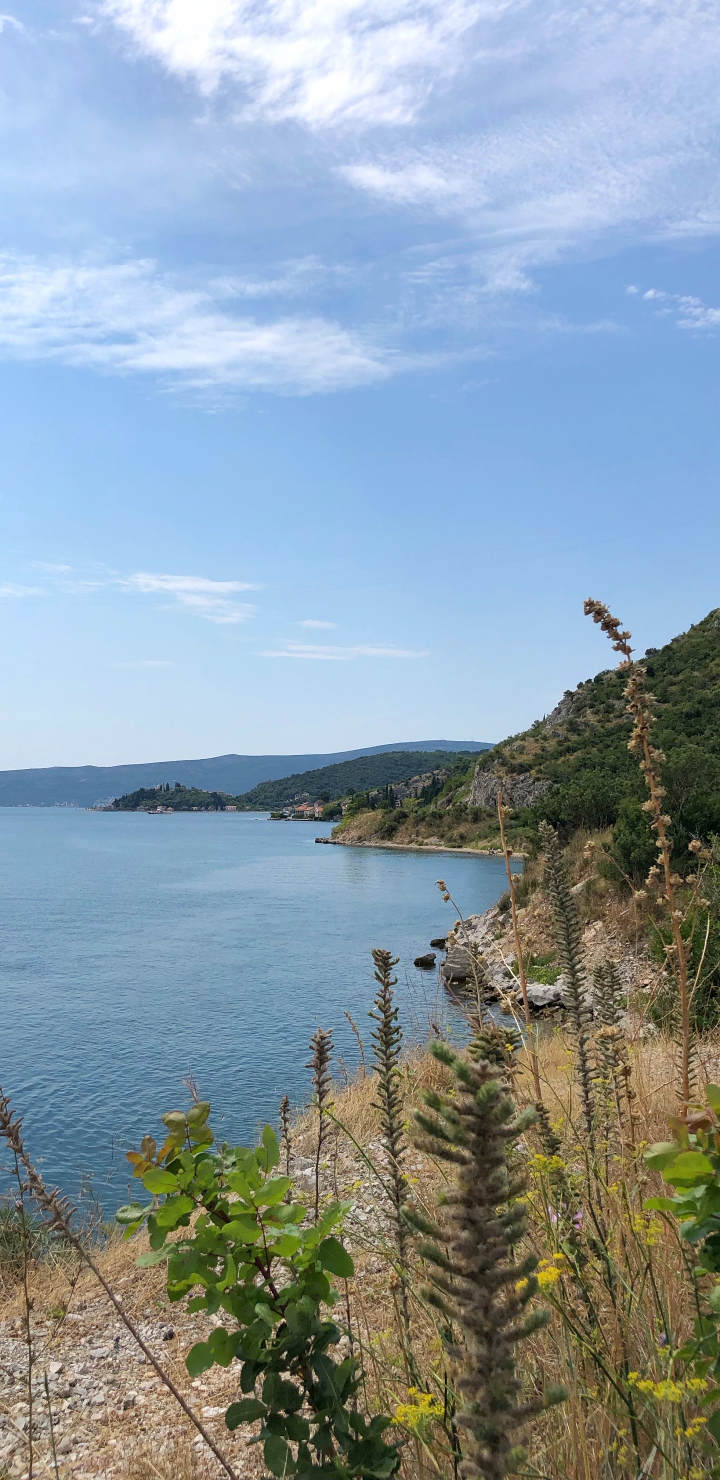 Côte, Eau, Voie Navigable, Banque, Loch. Wallpaper in 1440x2960 Resolution