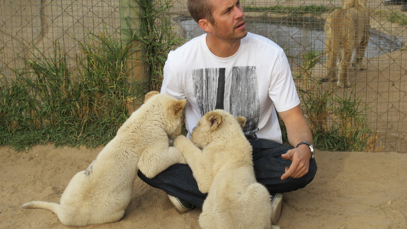 Hombre Con Camiseta Blanca de Cuello Redondo Sentado al Lado de un Perro Blanco. Wallpaper in 1366x768 Resolution