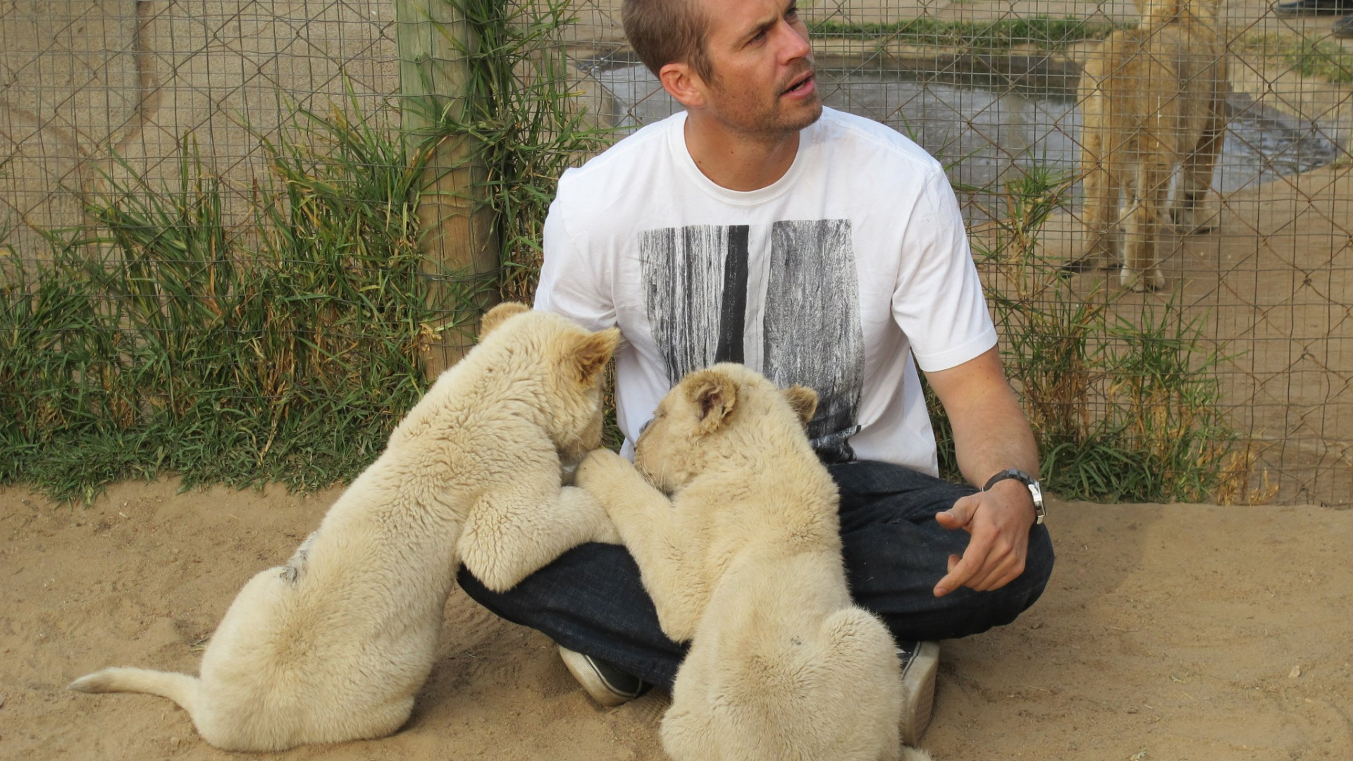 Man in White Crew Neck T-shirt Sitting Beside White Dog. Wallpaper in 1920x1080 Resolution