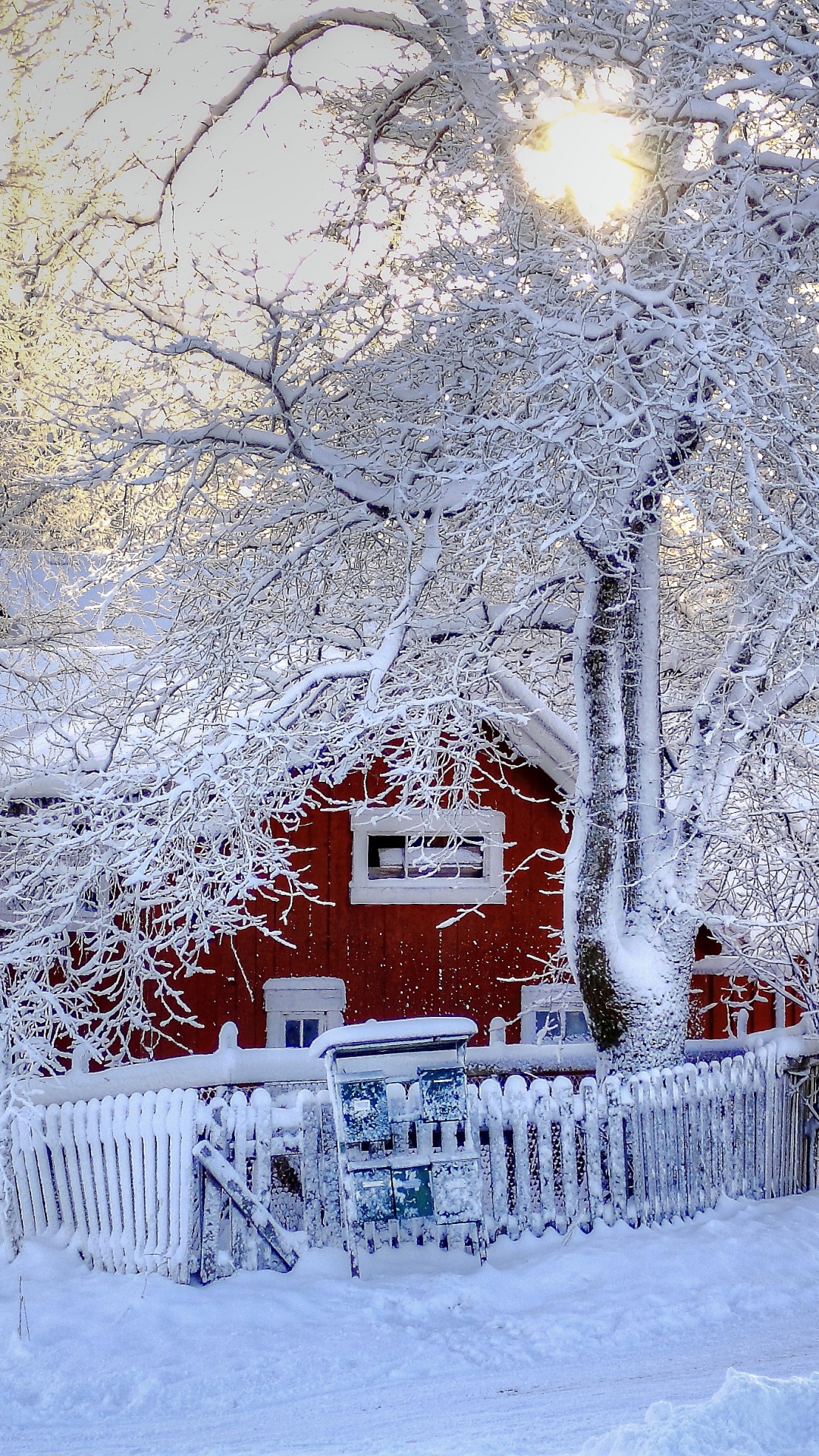 Arbres et Maisons Couverts de Neige Pendant la Journée. Wallpaper in 1080x1920 Resolution