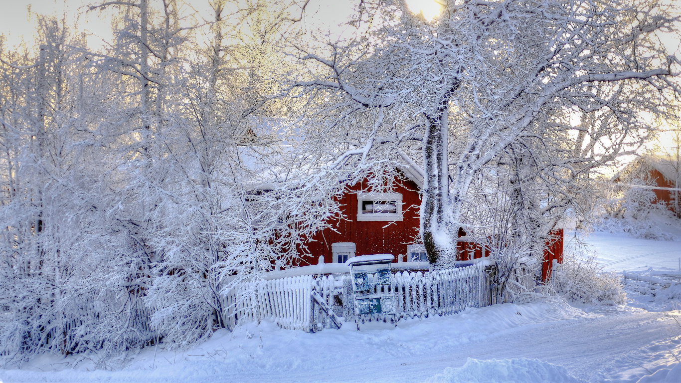 Arbres et Maisons Couverts de Neige Pendant la Journée. Wallpaper in 1366x768 Resolution