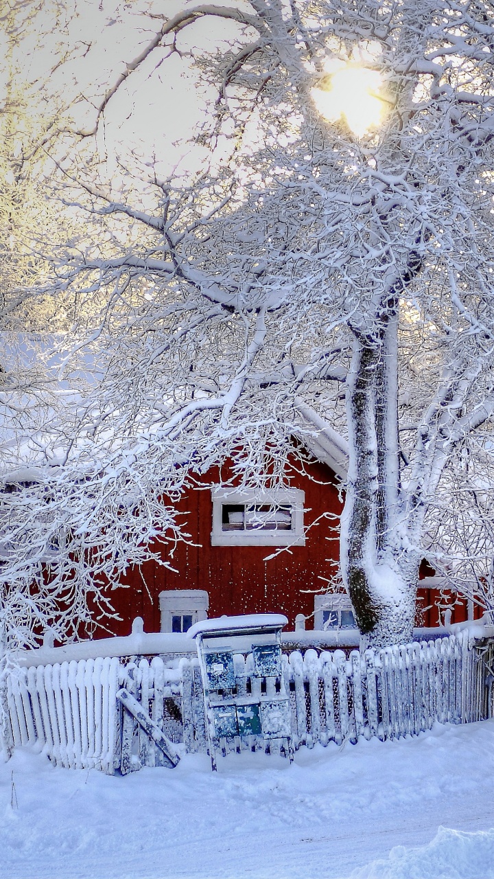 Arbres et Maisons Couverts de Neige Pendant la Journée. Wallpaper in 720x1280 Resolution