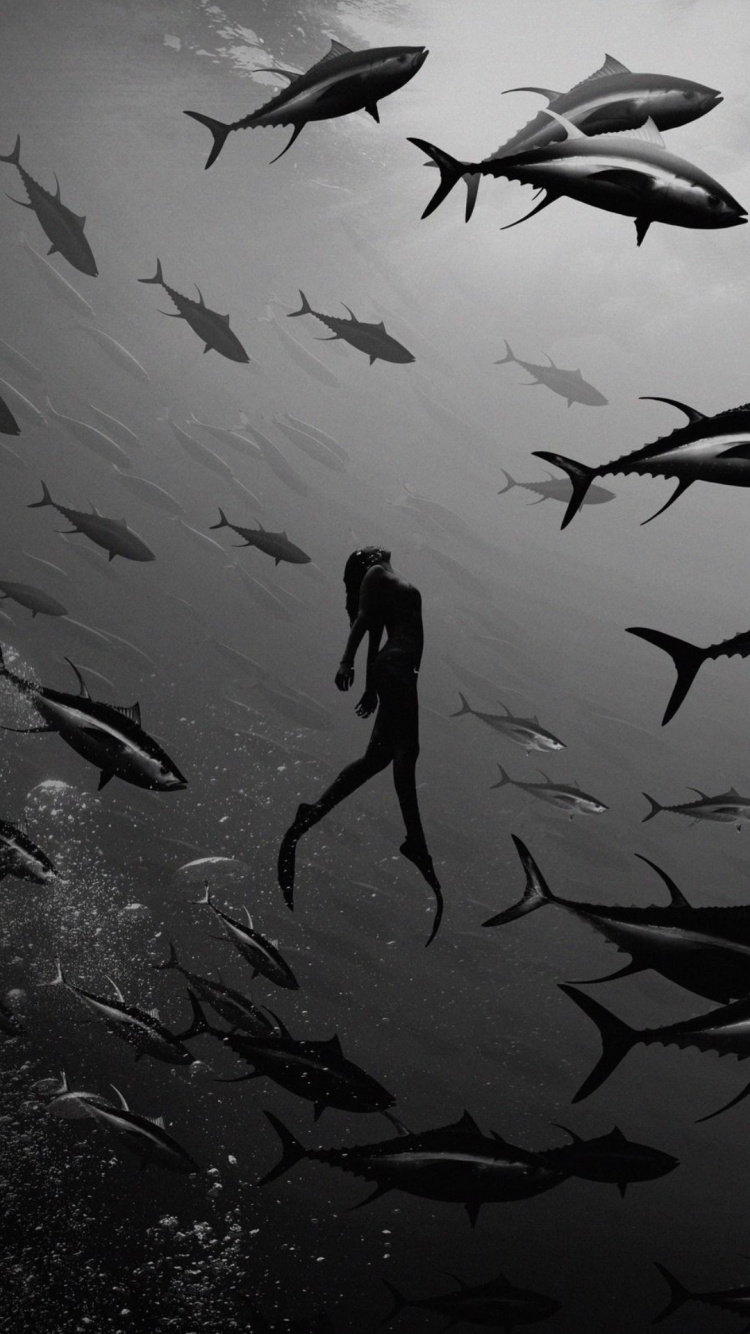 白色, 手势, 风格, 黑色和白色的, 翼 壁纸 750x1334 允许