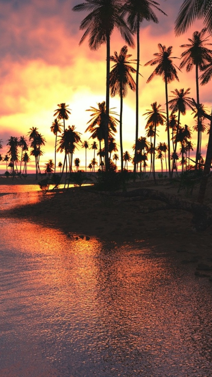 Les Gens Sur la Plage Pendant le Coucher du Soleil. Wallpaper in 720x1280 Resolution