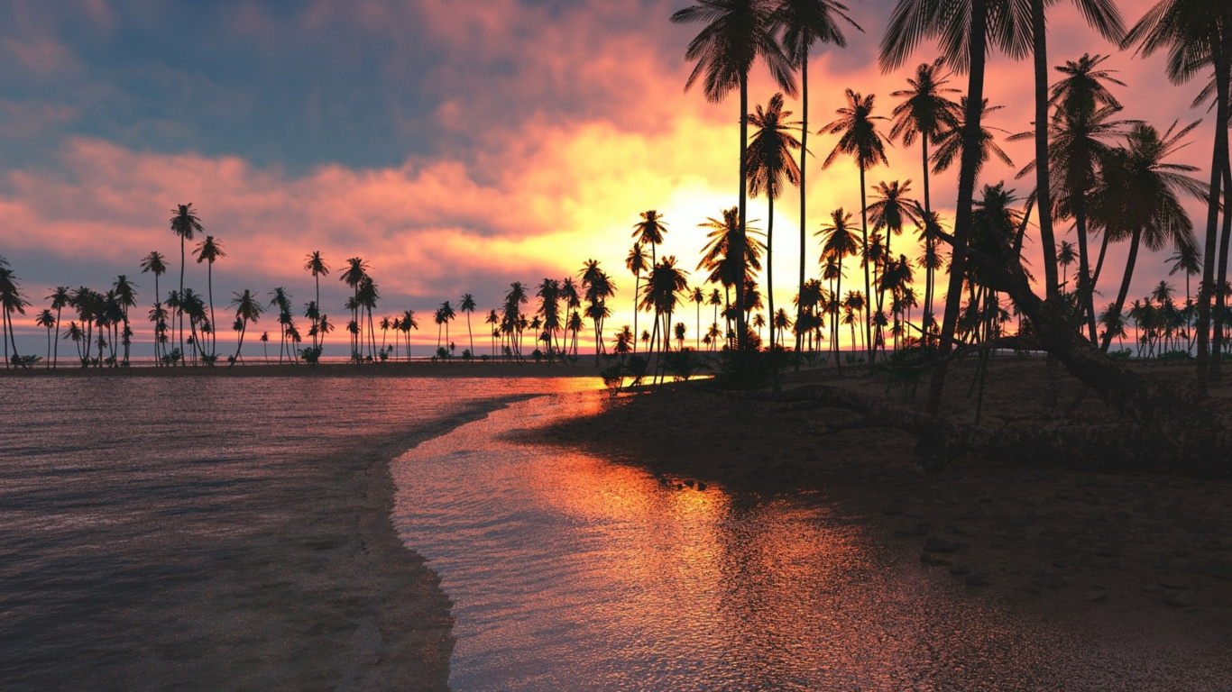Leute am Strand Bei Sonnenuntergang. Wallpaper in 1366x768 Resolution