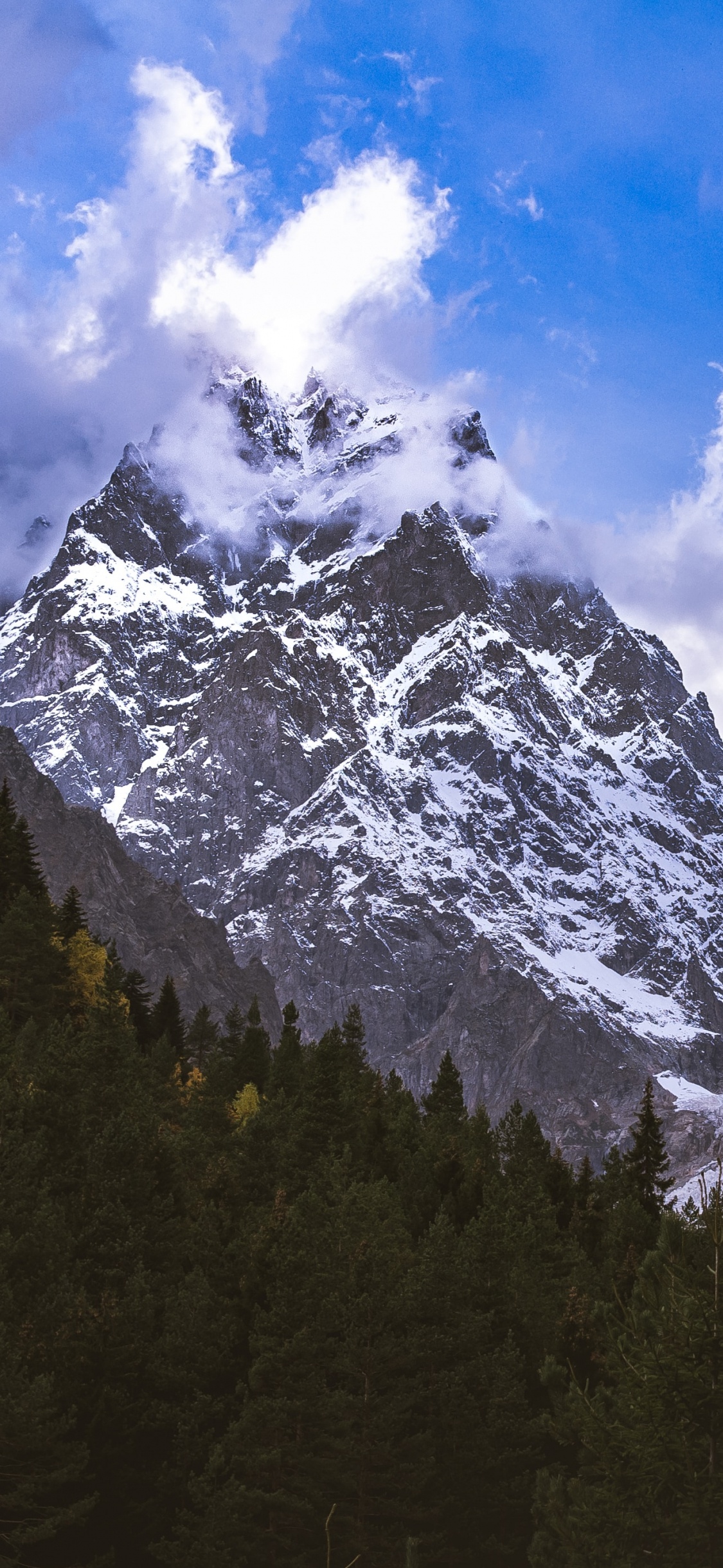 Mountain, Mount Scenery, Mountain Range, Tree, Mountainous Landforms. Wallpaper in 1125x2436 Resolution