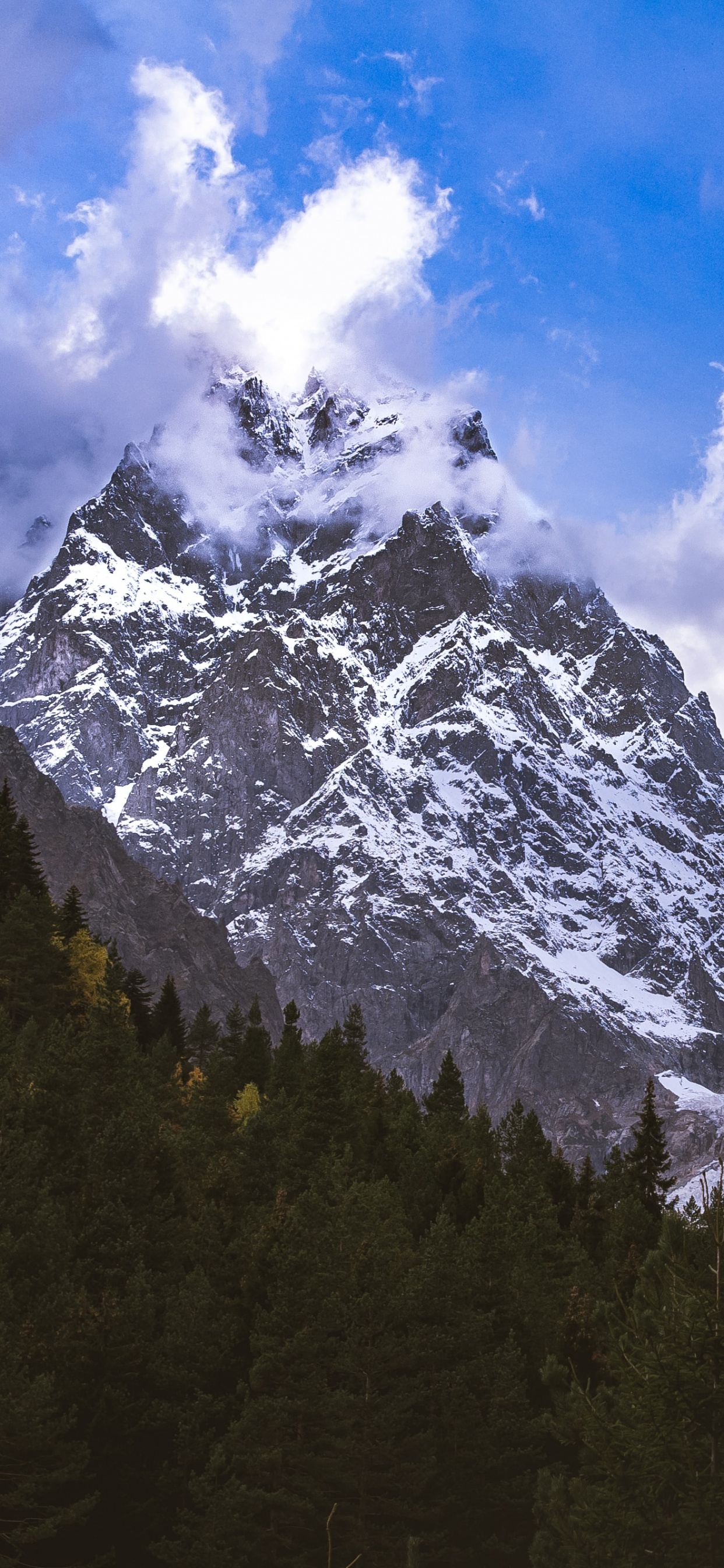 Mountain, Mount Scenery, Mountain Range, Tree, Mountainous Landforms. Wallpaper in 1242x2688 Resolution