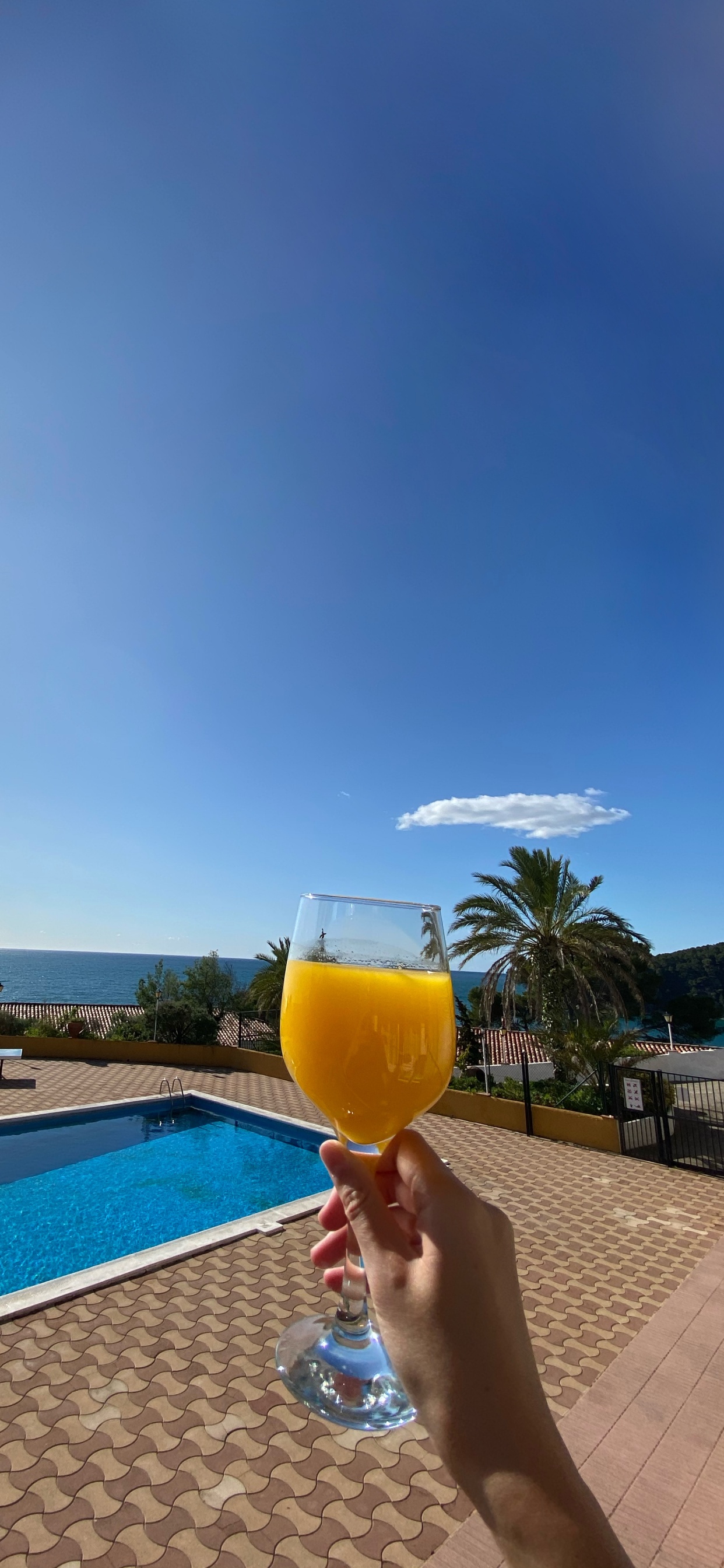 Spain, Water, Swimming Pool, Drink, Tableware. Wallpaper in 1242x2688 Resolution