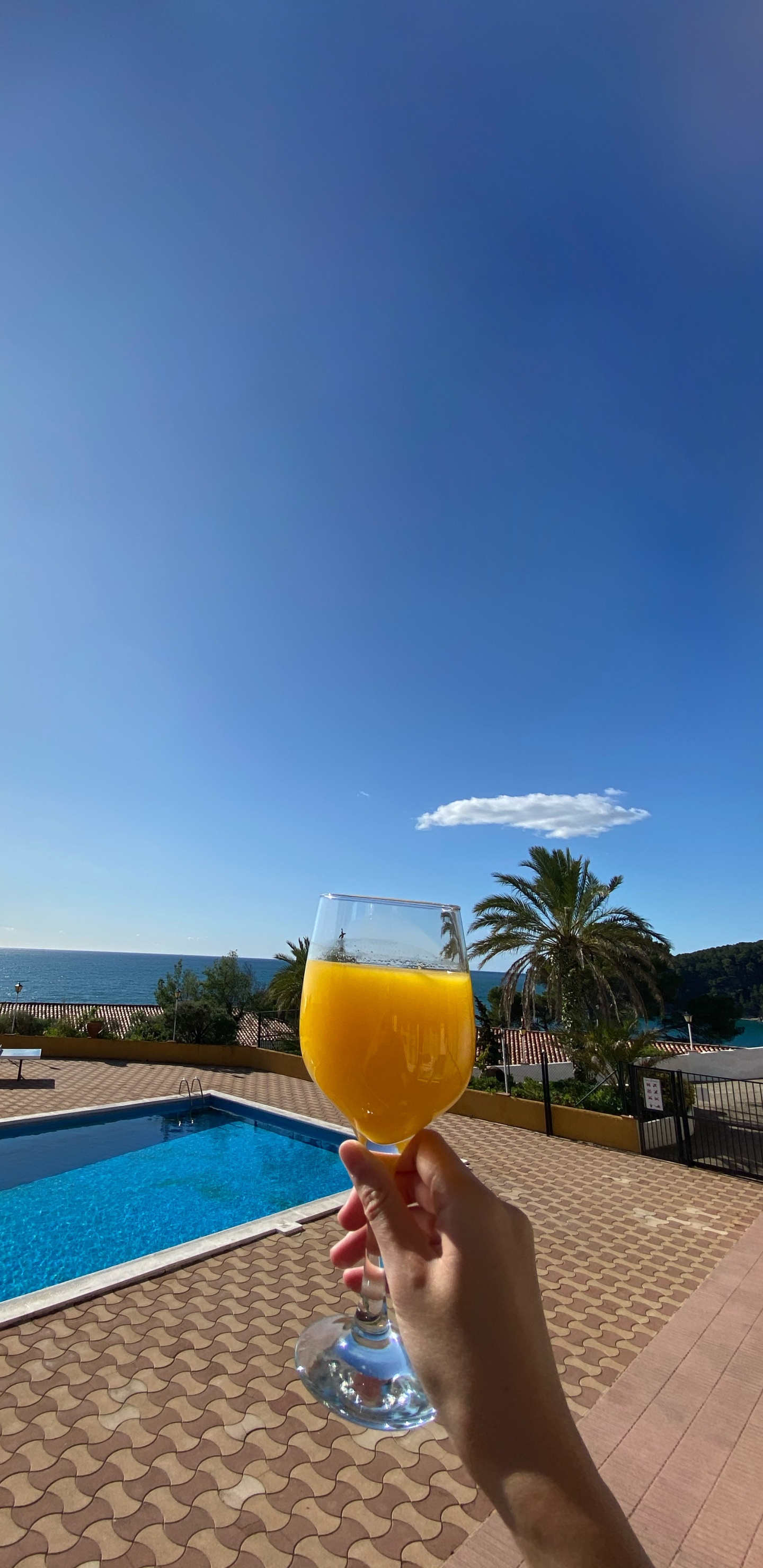 Spain, Water, Swimming Pool, Drink, Tableware. Wallpaper in 1440x2960 Resolution