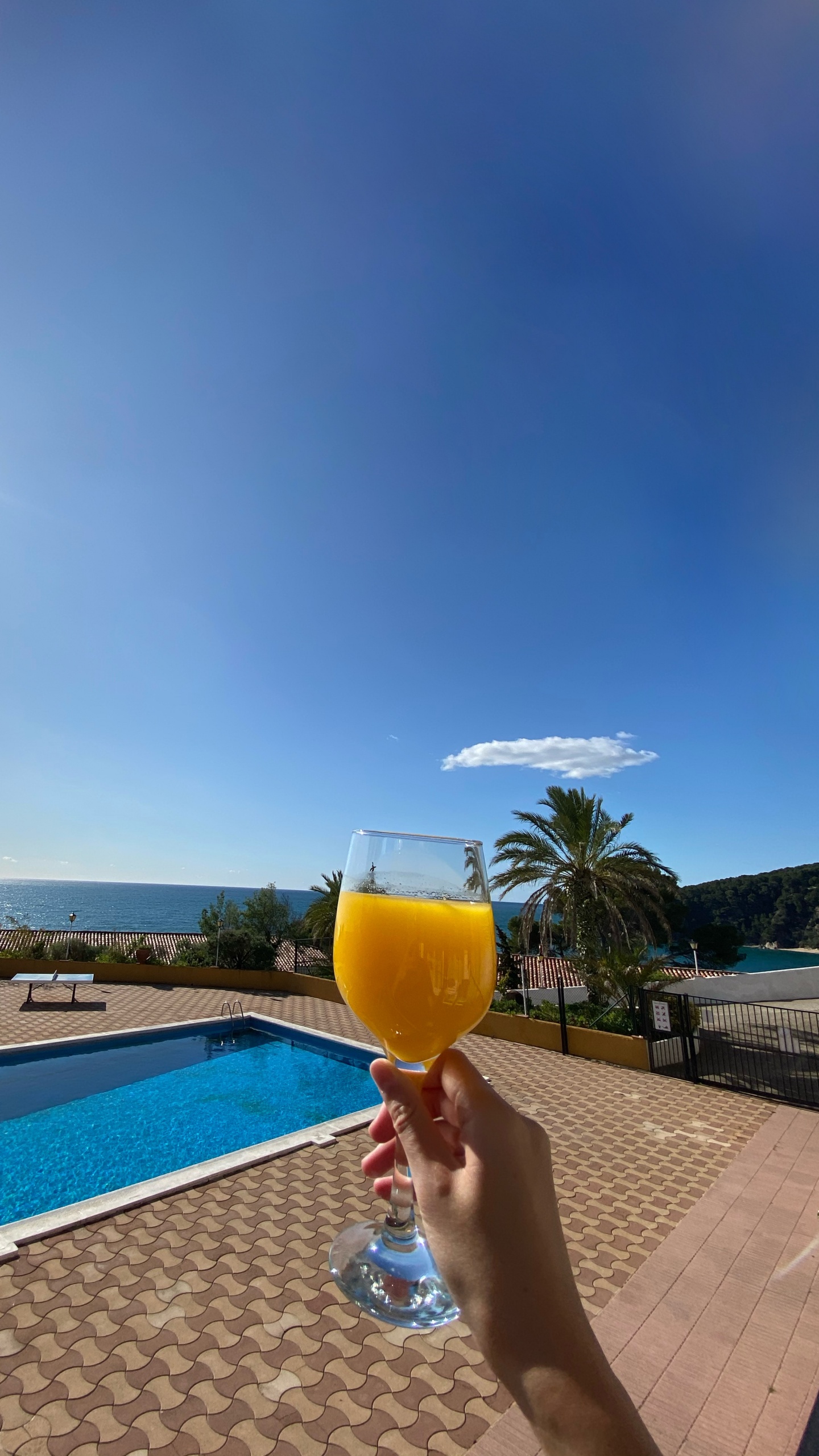 Spanien, Wasser, Pool, Tafelgeschirr, Saft. Wallpaper in 1440x2560 Resolution