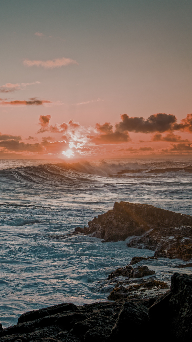 Ocean, Horizon, Turtle, Promontory, Nature. Wallpaper in 750x1334 Resolution