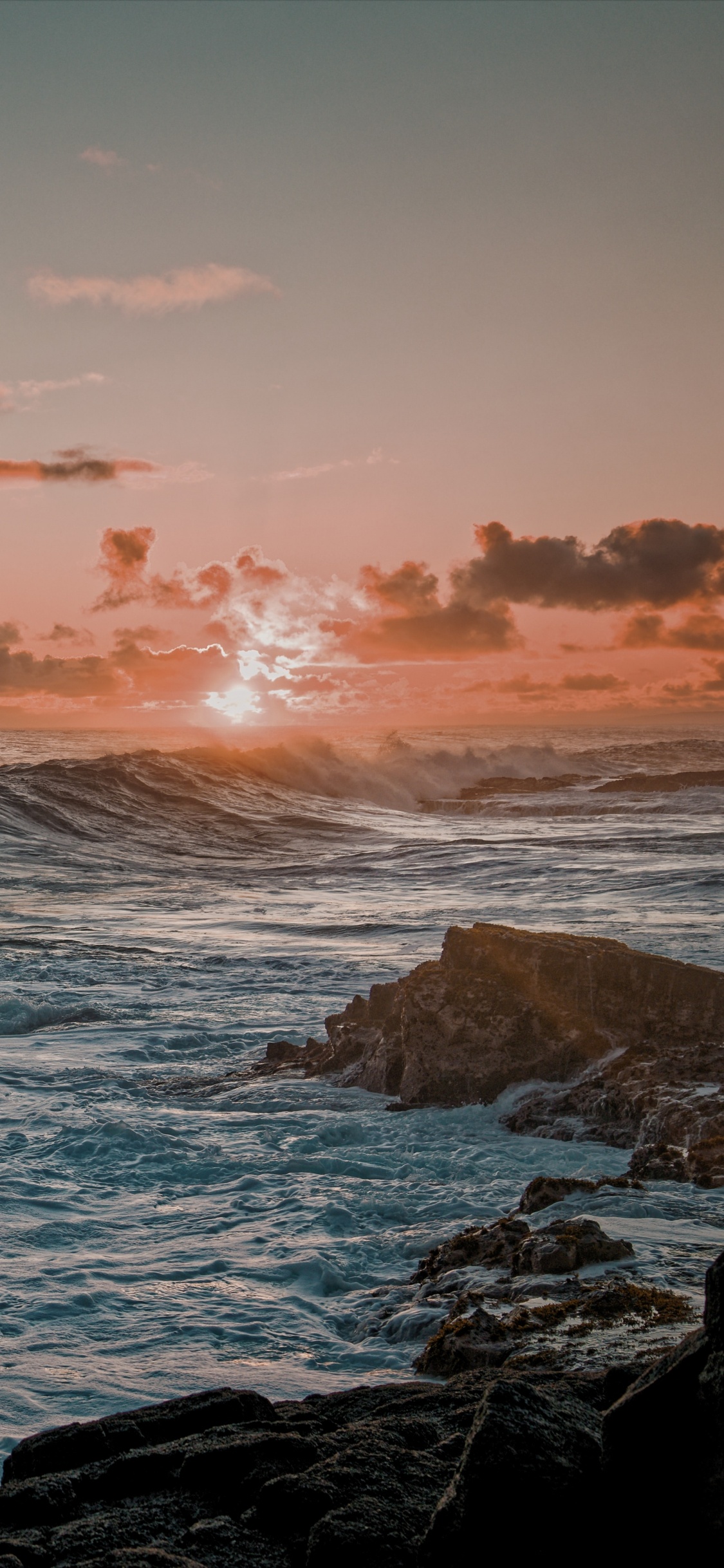Oceano, Tortuga, Naturaleza, Cuerpo de Agua, Promontorio. Wallpaper in 1125x2436 Resolution