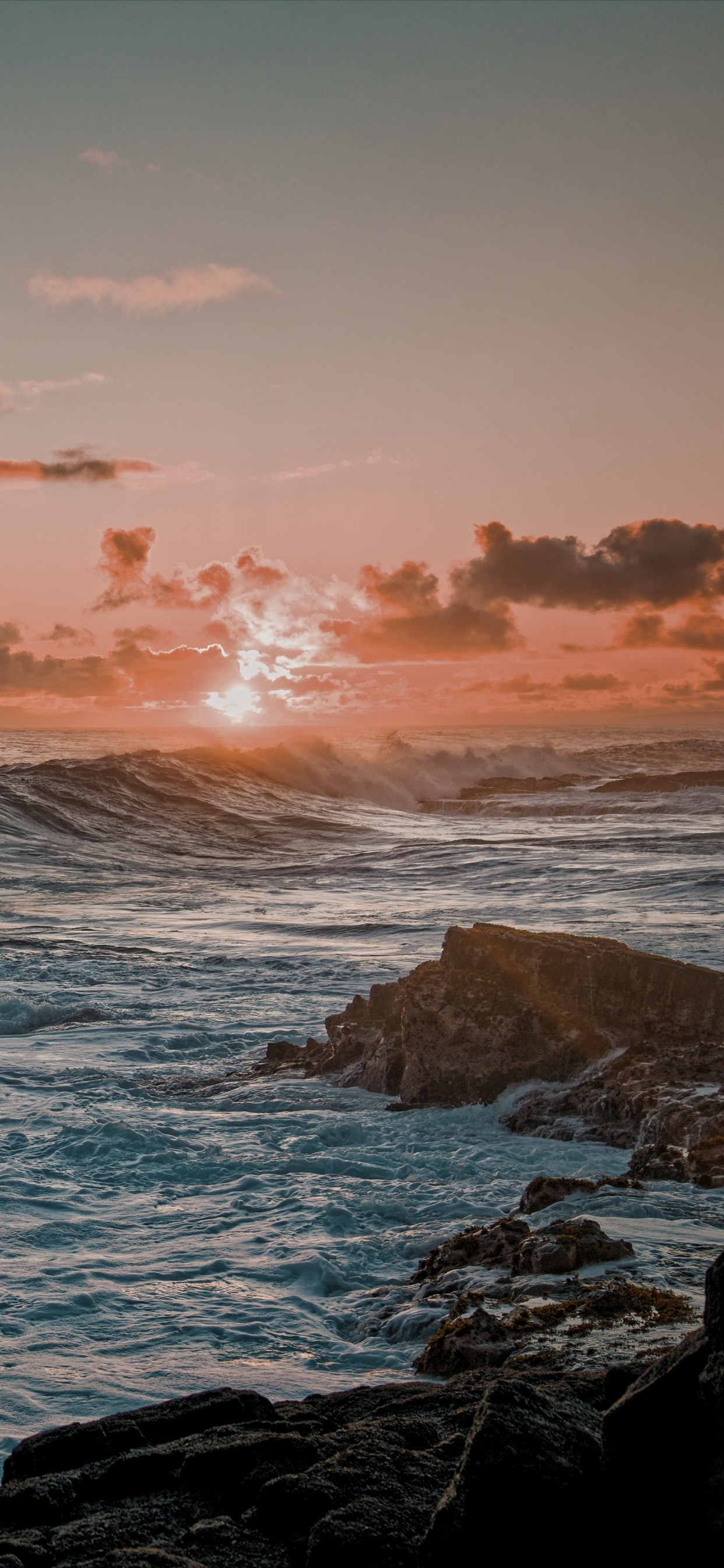 Oceano, Tortuga, Naturaleza, Cuerpo de Agua, Promontorio. Wallpaper in 1242x2688 Resolution