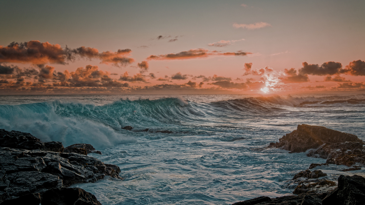 Oceano, Tortuga, Naturaleza, Cuerpo de Agua, Promontorio. Wallpaper in 1280x720 Resolution
