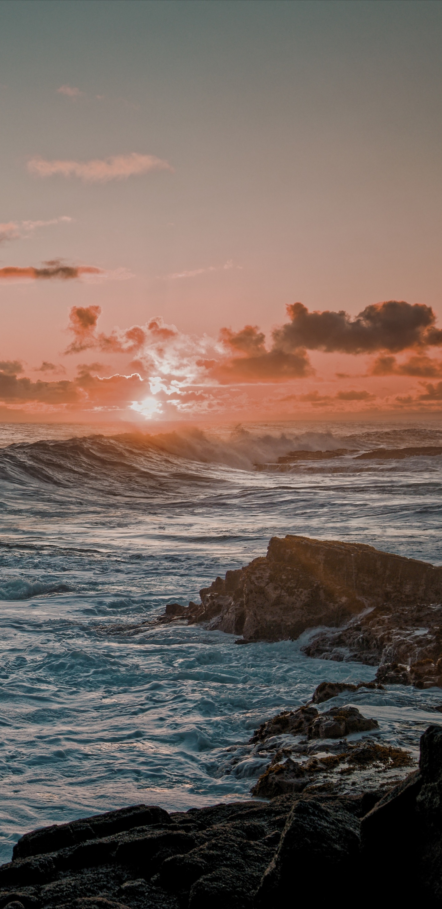 Oceano, Tortuga, Naturaleza, Cuerpo de Agua, Promontorio. Wallpaper in 1440x2960 Resolution