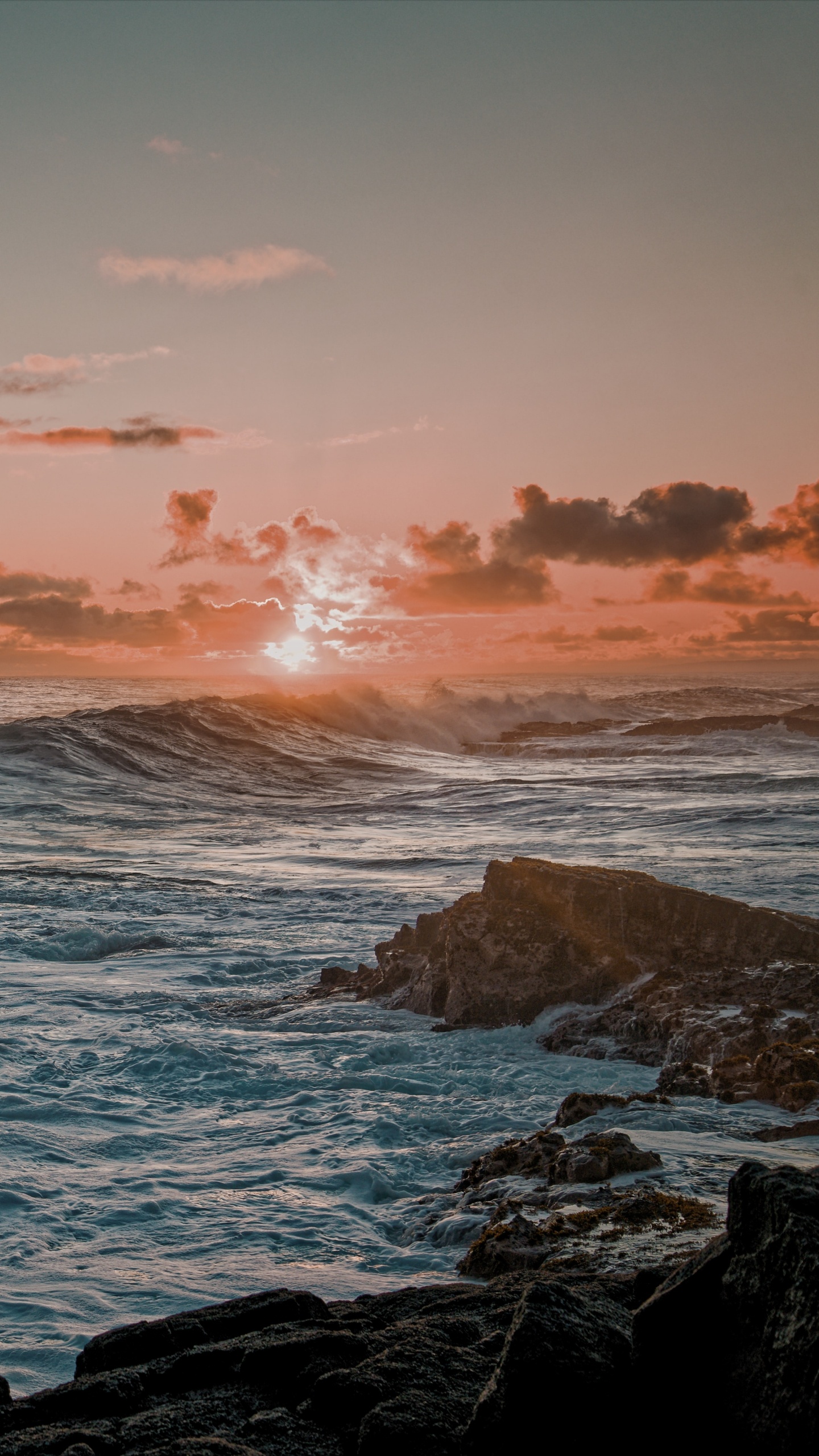 Horizon, Tortue, Nature, Corps de L'eau, Promontoire. Wallpaper in 1440x2560 Resolution