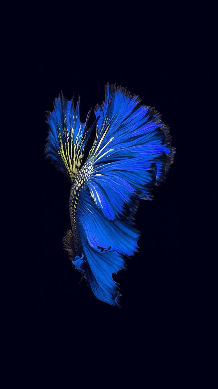 IOS 10, IPhone, Apple, IOS 9, IOS. Wallpaper in 750x1334 Resolution