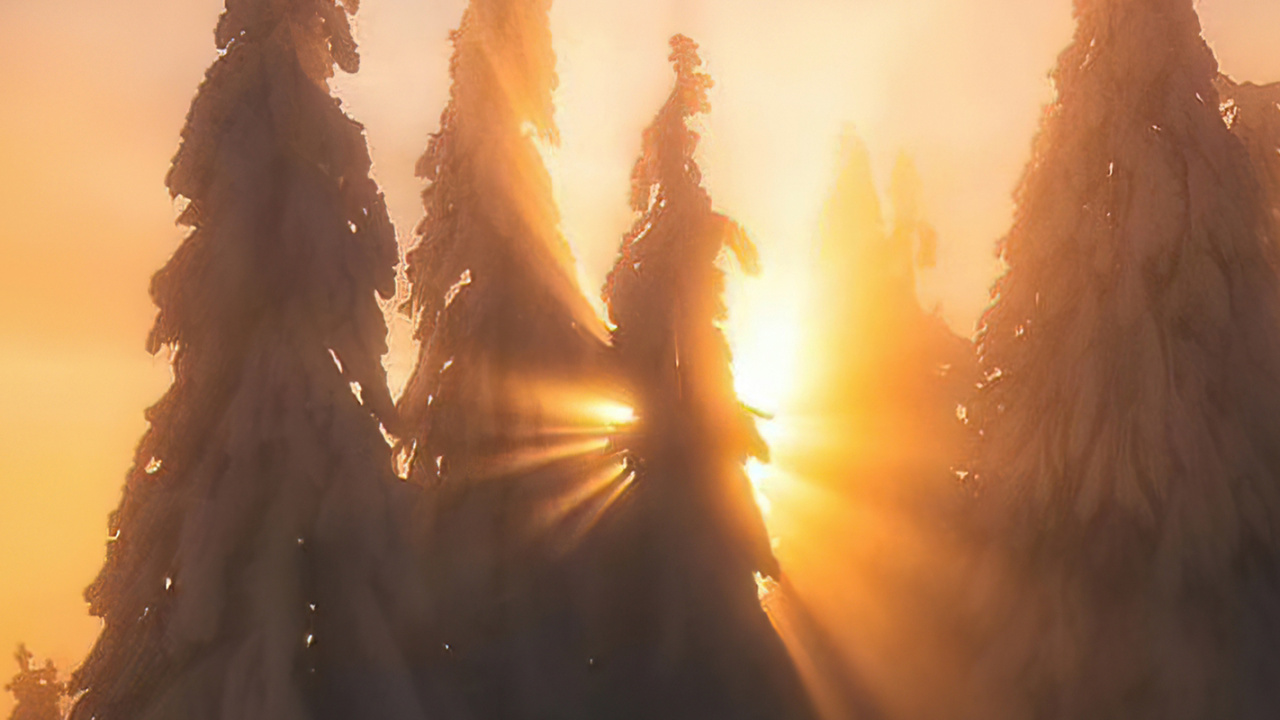 Wake up in The Sky, Cloud, Atmosphere, Plant, Afterglow. Wallpaper in 1280x720 Resolution