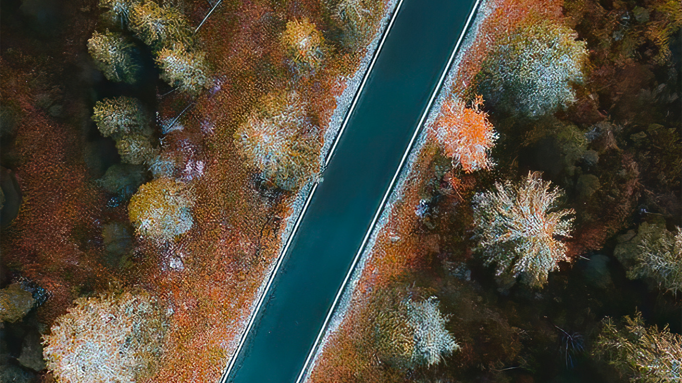 Unterwasser, Korallenriff, Marine Biologie, Natürlichen Umgebung, Botanik. Wallpaper in 1366x768 Resolution