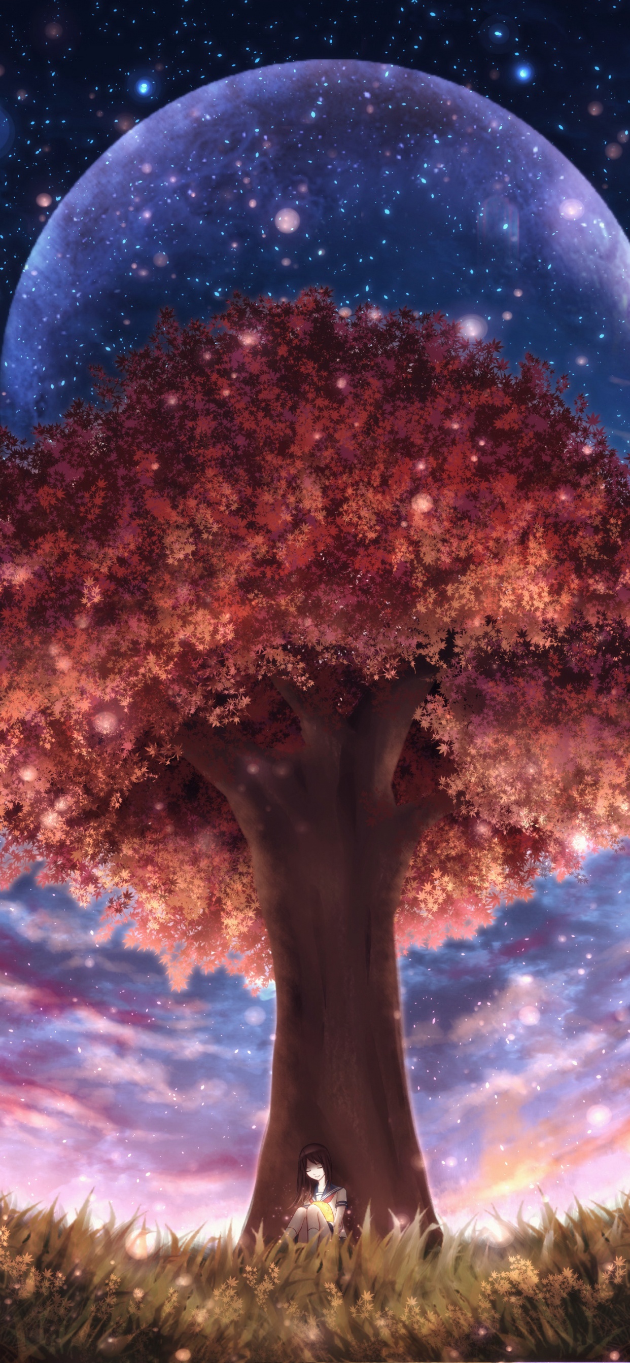 Árbol Marrón Bajo el Cielo Azul. Wallpaper in 1242x2688 Resolution