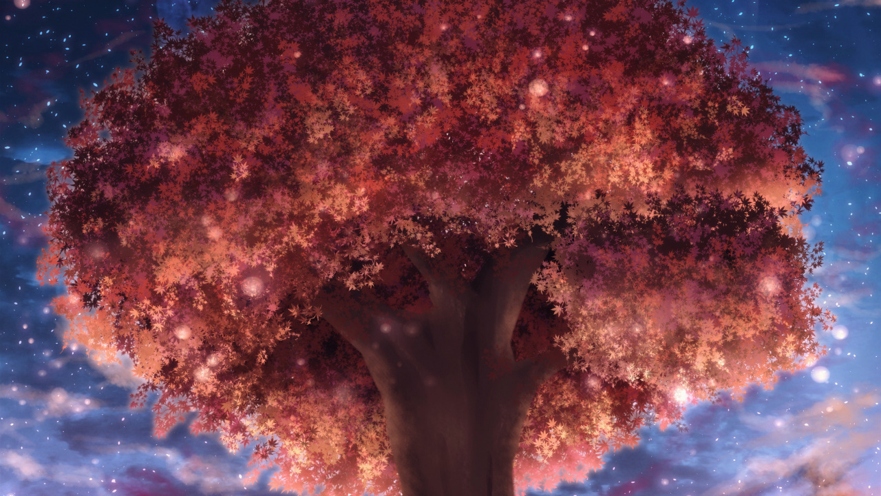 Árbol Marrón Bajo el Cielo Azul. Wallpaper in 1280x720 Resolution