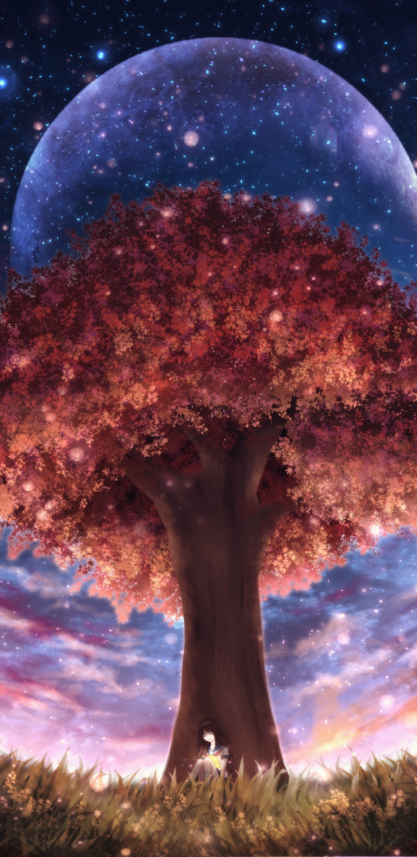 Brown Tree Under Blue Sky. Wallpaper in 1440x2960 Resolution