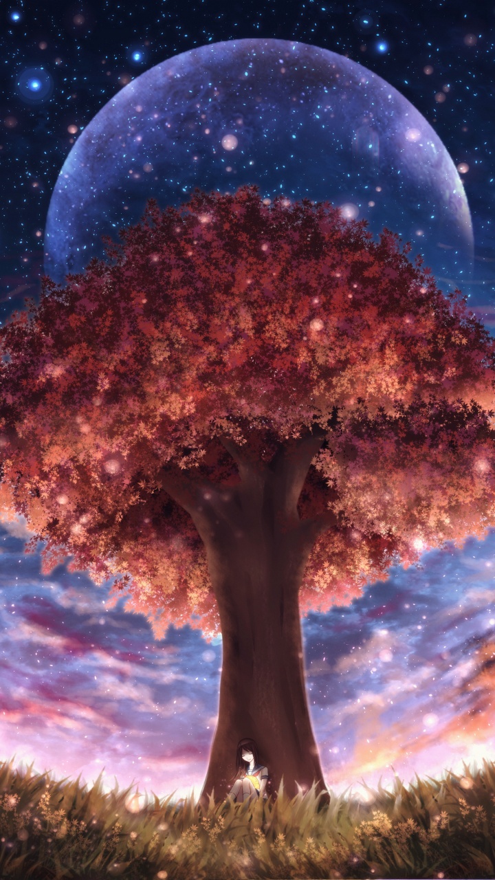 Brown Tree Under Blue Sky. Wallpaper in 720x1280 Resolution