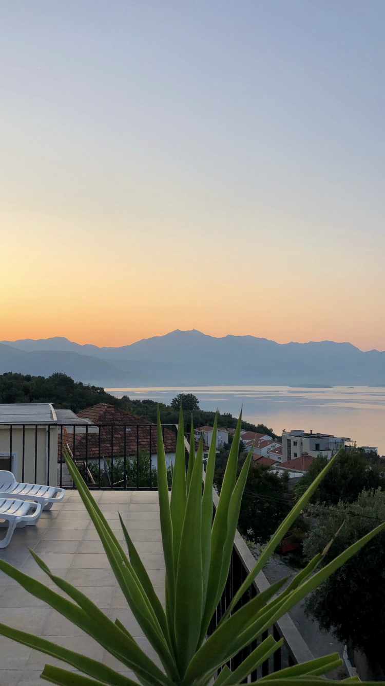 Palm Trees, Real Estate, Water, Property, Dusk. Wallpaper in 750x1334 Resolution