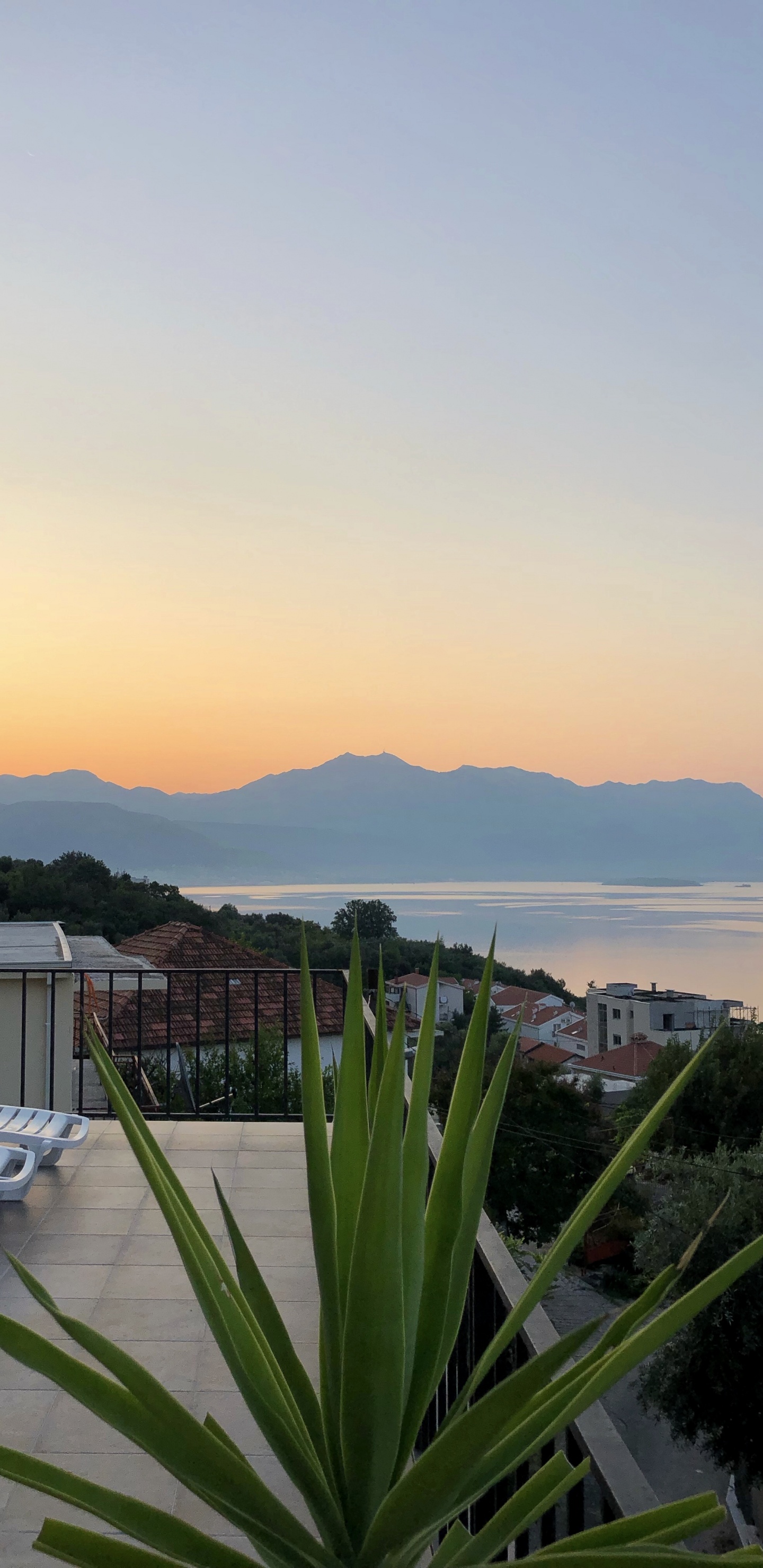 Palmera, Inmueble, Agua, Propiedad, Atardecer. Wallpaper in 1440x2960 Resolution