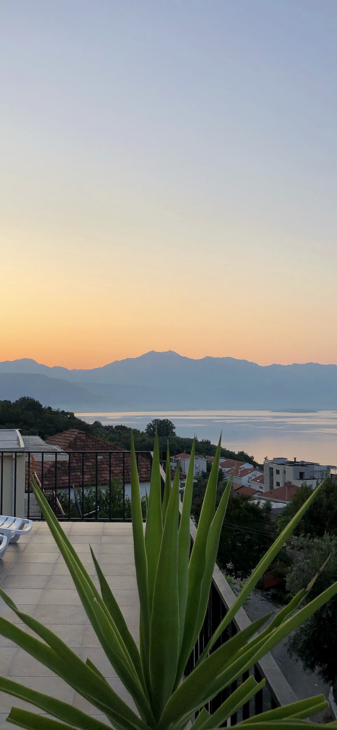 Palmier, Immobilier, Eau, Propriété, Horizon. Wallpaper in 1125x2436 Resolution