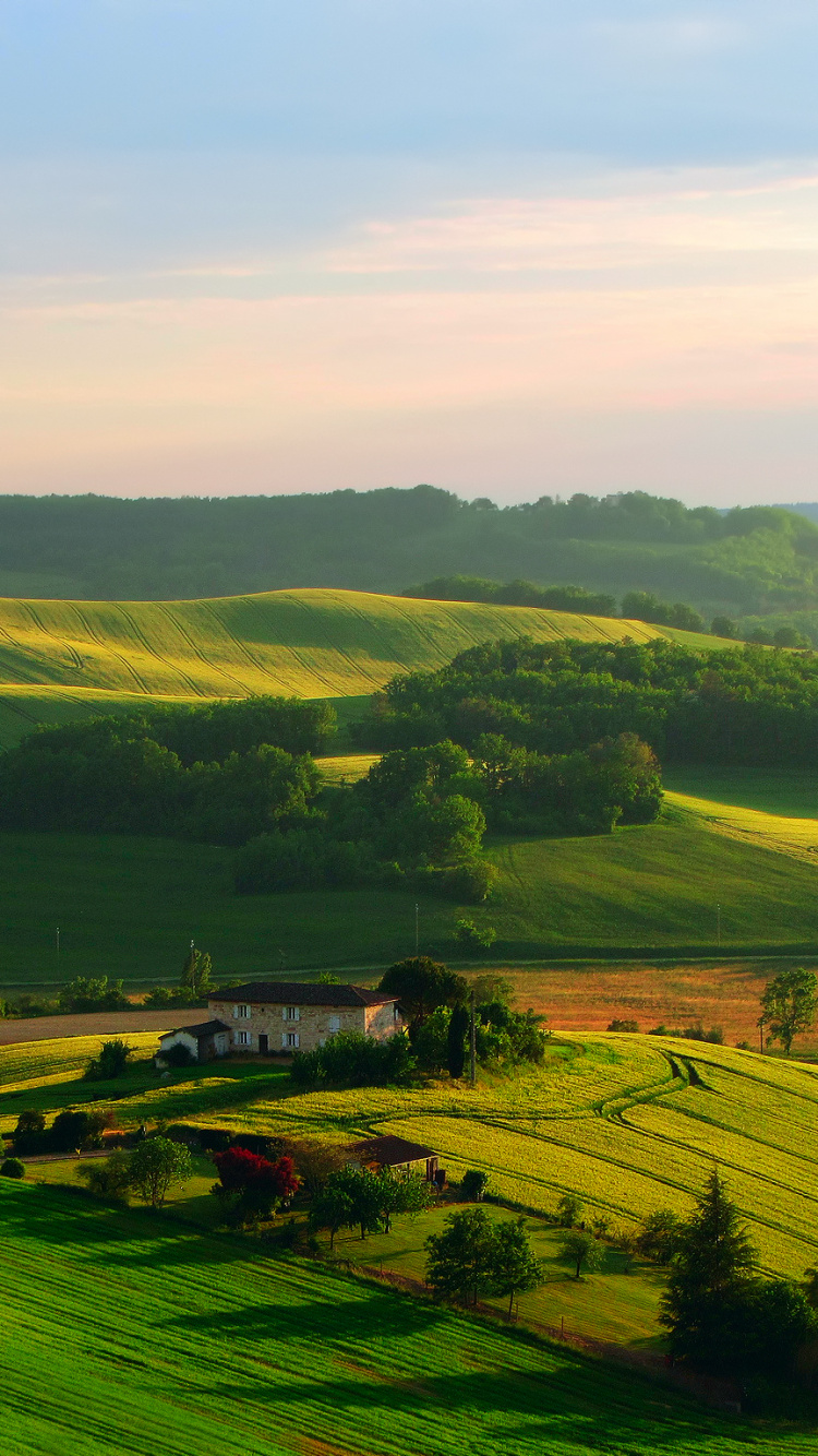 Green Grass Field Under White Clouds During Daytime. Wallpaper in 750x1334 Resolution