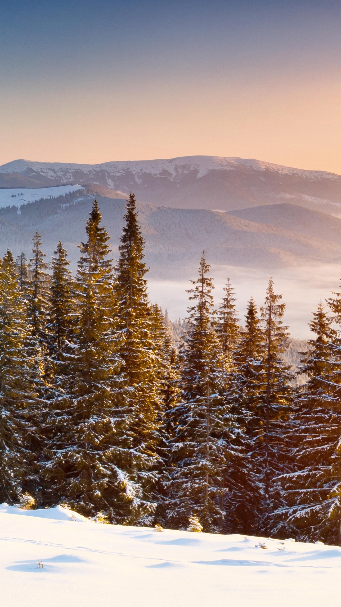 冬天, 多山的地貌, 荒野, 早上, 冻结 壁纸 1440x2560 允许